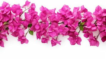 Bougainvillea Blume Muster Hintergrund. Blume Hintergrund Textur. generativ ai foto