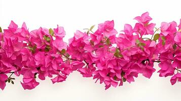 Bougainvillea Blume Muster Hintergrund. Blume Hintergrund Textur. generativ ai foto