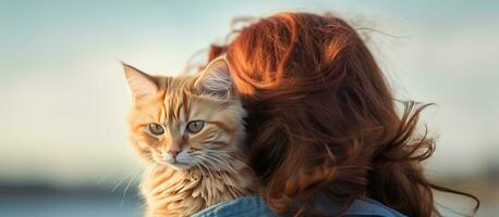 unbekannt Frau halten schön Ingwer Katze von hinter leer Bereich foto