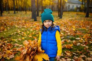 schön Kind, bezaubernd Baby Mädchen im hell bunt warm Kleider halten gesammelt Strauß von Herbst Blätter Stehen gegen Herbst golden Park Hintergrund beim Sonnenuntergang mit fallen Sonnenstrahlen foto