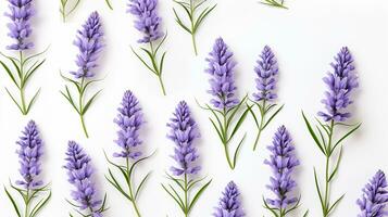 Lavendel Blume gemustert Hintergrund. Blume Textur Hintergrund. generativ ai foto
