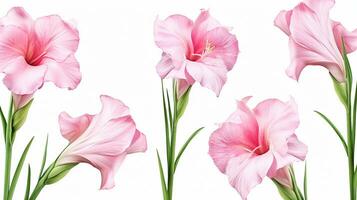 Gladiole Blume gemustert Hintergrund. Blume Textur Hintergrund. generativ ai foto