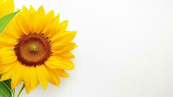 Foto von schön Sonnenblume isoliert auf Weiß Hintergrund. generativ ai