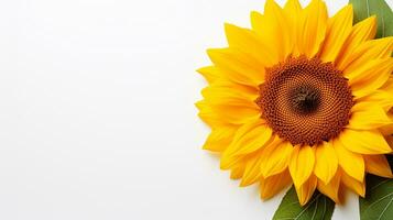 Foto von schön Sonnenblume isoliert auf Weiß Hintergrund. generativ ai