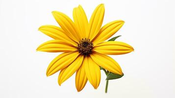 Foto von schön Rudbeckia Blume isoliert auf Weiß Hintergrund. generativ ai