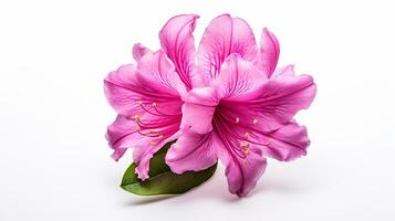 Foto von schön Rhododendron Blume isoliert auf Weiß Hintergrund. generativ ai