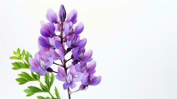 Foto von schön Lupine Blume isoliert auf Weiß Hintergrund. generativ ai