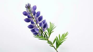 Foto von schön Lupine Blume isoliert auf Weiß Hintergrund. generativ ai