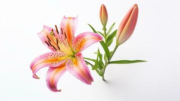 Foto von schön Lilium Blume isoliert auf Weiß Hintergrund. generativ ai