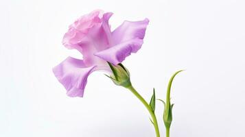 Foto von schön lisianthus Blume isoliert auf Weiß Hintergrund. generativ ai