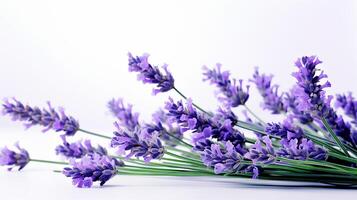 Foto von schön Lavendel Blume isoliert auf Weiß Hintergrund. generativ ai