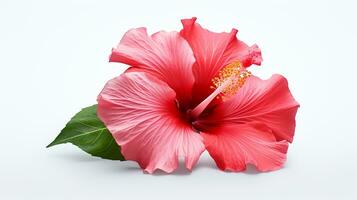 Foto von schön Hibiskus Blume isoliert auf Weiß Hintergrund. generativ ai