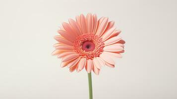 Foto von schön Gerbera Blume isoliert auf Weiß Hintergrund. generativ ai