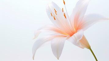 Foto von schön Fee Lilie Blume isoliert auf Weiß Hintergrund. generativ ai