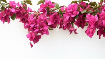 Foto von schön Bougainvillea Blume isoliert auf Weiß Hintergrund. generativ ai