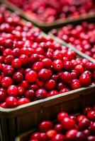 frisch Preiselbeeren im Herbst landwirtschaftlich Markt foto