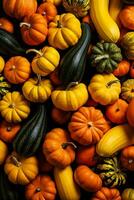 bunt Kürbisse im Herbst landwirtschaftlich Markt foto