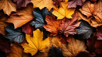 Farbiger Hintergrund aus gefallenen Herbstblättern foto