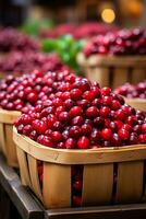 frisch Preiselbeeren im Herbst landwirtschaftlich Markt foto