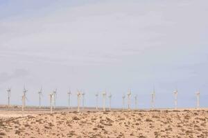 ein groß Gruppe von Wind Turbinen im das Wüste foto