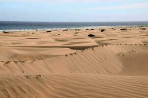 Sand Dünen auf das Strand im das Mitte von das Ozean foto