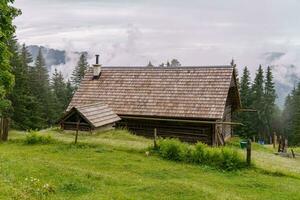 Wandern im das österreichisch Alpen foto