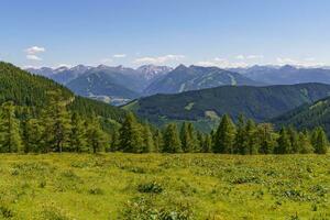 Sommer- Zeit im Österreich foto