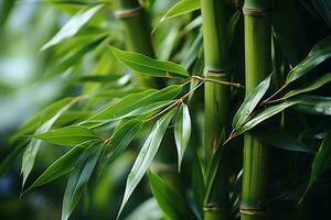 Grün Bambus Natur Hintergrund. generativ ai foto
