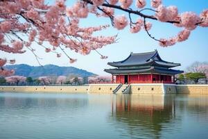 gyeongbokgung Palast mit Kirsche Blüte. generativ ai foto