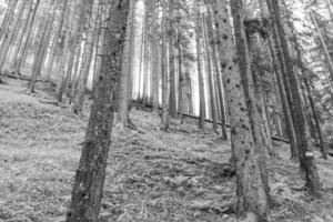 im das österreichisch Alpen foto