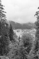 Sommer- Zeit im Österreich foto