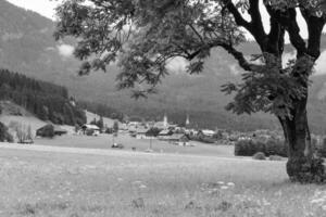 Sommer- Zeit im Österreich foto