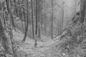 Österreich beim Sommer- Zeit foto