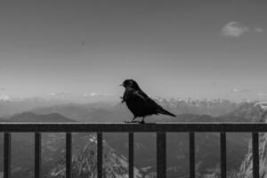 Österreich beim Sommer- Zeit foto