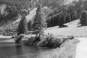 Sommer- Zeit im Österreich foto