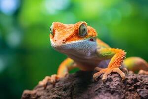 Geckos im Natur breit Leben Tiere. ai generiert. foto