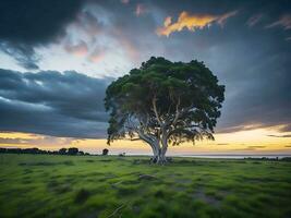 kostenlos Foto breit Winkel Schuss von ein Single Baum wachsend unter ein bewölkt Himmel während ein Sonnenuntergang umgeben durch Gras ai generativ