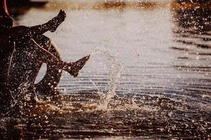 Paar spritzt ihre Füße im Wasser bei Sonnenuntergang foto