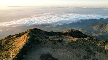 das schön Landschaft Aussicht von Lawu Berg beim Sonnenaufgang gelegen im magetan. einer von das die meisten schön Berge im Java mit ein Höhe von 3265m über Meer eben. Magetan, Indonesien August 1, 2023 foto