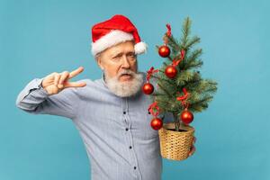 Porträt von glücklich verrückt Emotionen Santa claus aufgeregt suchen beim Kamera und hält klein Weihnachten Baum auf Blau Hintergrund foto