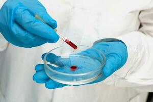 ein Mann im ein Weiß Mantel tropft rot Flüssigkeit von ein Pipette in ein Petri Gericht foto