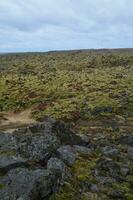 Lava Feld im Island mit vulkanisch Felsen und Moos foto
