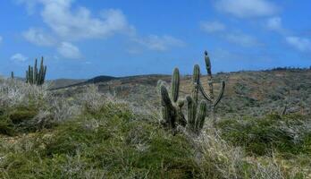 szenisch trocken Wüste Landschaft im Nord Aruba foto