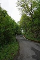 Straße mit grüner Vegetation im Wald foto