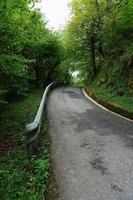 Straße mit grüner Vegetation im Wald foto