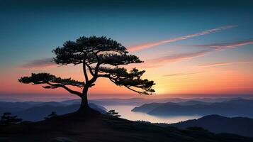 Sonnenaufgang Silhouette von ein Kiefer Baum foto