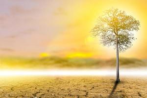 Das Konzept der Umweltwiederherstellung Das Wachstum von Sämlingen auf rissigem Boden, rissiger Boden in der Trockenzeit, die von der globalen Erwärmung betroffen ist, verursacht Klimawandel, Wassermangel. foto