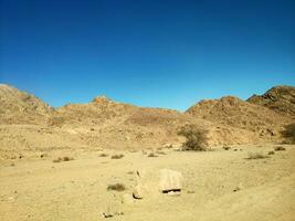 Wüste Land mit Berge und Meer foto