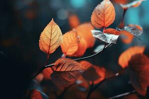 schließen oben von schön Herbst Blätter mit Wasser Tropfen. natürlich Hintergrund ai generiert foto