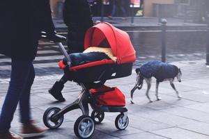 Vater mit rotem Kinderwagen, der mit Frau und Hund eine Straße entlang geht foto